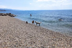 Plaža za pse Kantrida - Dog Beach image