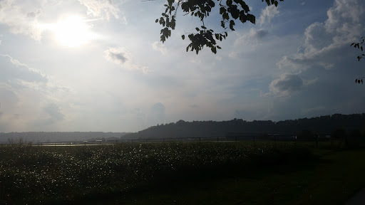 Golf Course «Reeves Golf Course», reviews and photos, 4757 Playfield Ln, Cincinnati, OH 45226, USA