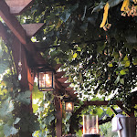 Photo n°10 de l'avis de Susann.c fait le 27/06/2022 à 19:03 sur le  Ave Marie à Nünchritz