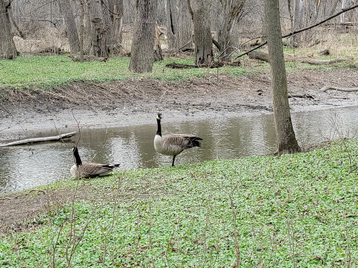 Nature Preserve «Forest Glen Woods», reviews and photos, 5420 N Forest Glen Ave, Chicago, IL 60630, USA