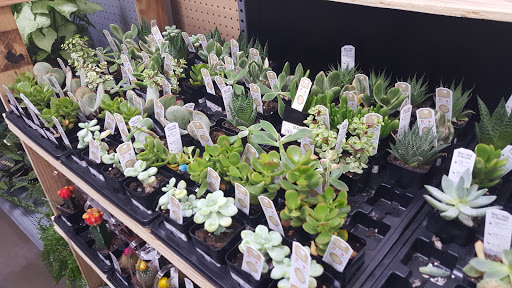 Department Store «Walmart Supercenter», reviews and photos, 900 Stillwater Ave, Bangor, ME 04401, USA