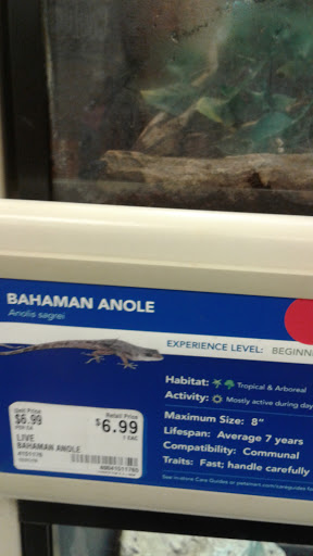 Pet Supply Store «PetSmart», reviews and photos, 901 US-1, North Brunswick Township, NJ 08902, USA