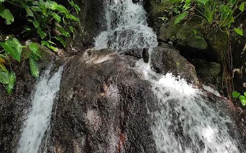 Calejon Falls image
