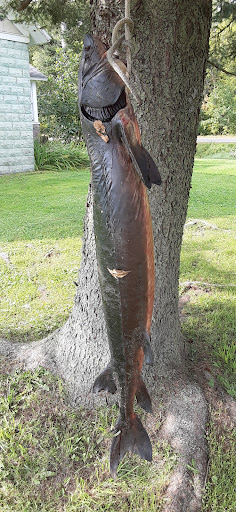 Hardware Store «Ladysmith Ace Hardware», reviews and photos, 503 Lake Ave W, Ladysmith, WI 54848, USA