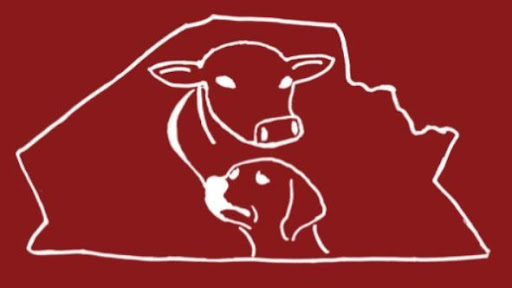 Creekside Veterinary Clinic & Chiropractic image