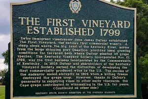 First Vineyard Winery image