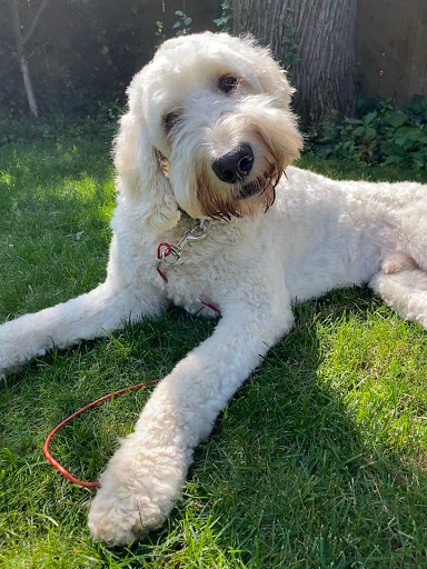 6742 Reynolds St, Pittsburgh, PA 15206, USA