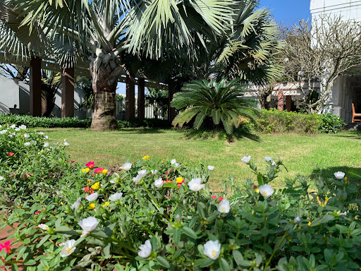 Top 10 cửa hàng đồ gỗ Huyện Đảo Cồn cỏ Quảng Trị 2022