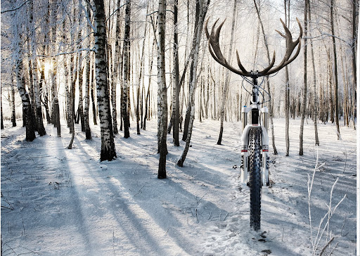 Bicycle Store «Ocala Bicycle Center», reviews and photos, 2801 SW 20th St, Ocala, FL 34474, USA