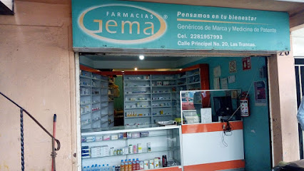 Farmacia Gema Av. Principal 20, 91637 Las Trancas, Ver. Mexico