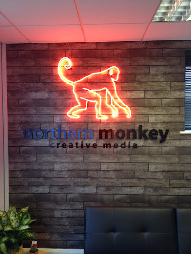 Reviews of Northern Monkey Creative Media in Preston - Website designer