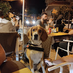 Photo n°3 de l'avis de Lello.a fait le 04/06/2022 à 22:38 sur le  Ciro Mazzella Paninoteca dal 1974 à Monte di Procida