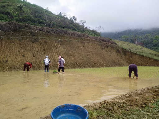 Top 17 cửa hàng elite Huyện Pác Nặm Bắc Kạn 2022