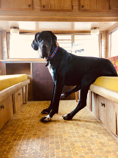 Leaving Pawnet Earth