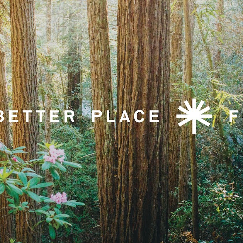 Better Place Forests