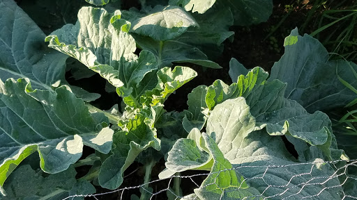 Auditorium «Bedford Heights Community Center», reviews and photos, 5615 Perkins Rd, Bedford Heights, OH 44146, USA