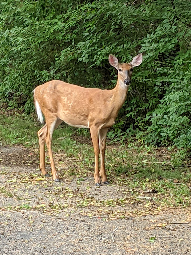 Park «Bare Cove Park», reviews and photos, Bare Cove Park Dr & Fort Hill St, Hingham, MA 02043, USA