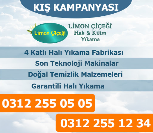 limon cicegi hali yikama ankara hali temizleme hizmeti