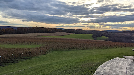 Winery «Galen Glen Winery», reviews and photos, 255 Winter Mountain Dr, Andreas, PA 18211, USA