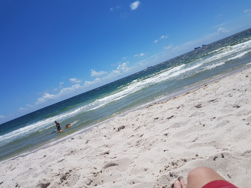 State Park «Hugh Taylor Birch State Park», reviews and photos, 3109 E Sunrise Blvd, Fort Lauderdale, FL 33304, USA