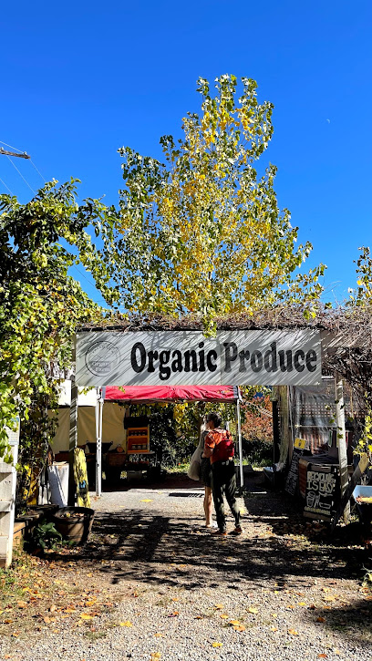 Freeman's Organic Farm