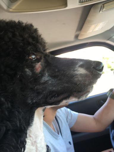 Pet Store «Petsense Enterprise», reviews and photos, 621 Boll Weevil Cir, Enterprise, AL 36330, USA