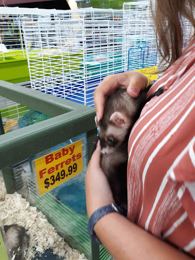 Pet Store «Petland Montgomery», reviews and photos, 7127 Eastchase Pkwy, Montgomery, AL 36117, USA