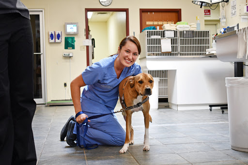 Capital District Veterinary Referral Hospital image