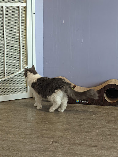 Pet Supply Store «Animal House Pet Supplies», reviews and photos, 733 Phillips Blvd, Sauk City, WI 53583, USA