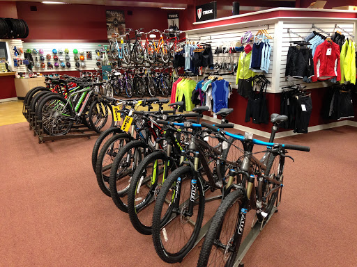 Bicycle Store «Pedal Power», reviews and photos, 520 Hartford Turnpike, Vernon, CT 06457, USA