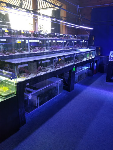 Aquarium Shop «Aquatics Unlimited / Aquatic Realmz», reviews and photos, 3550 S 108th St, Greenfield, WI 53228, USA