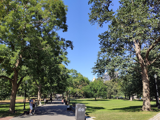 Movie Theater «AMC Loews Boston Common 19», reviews and photos, 175 Tremont St, Boston, MA 02111, USA