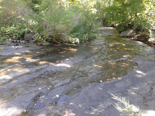 Tourist Attraction «Dinosaur Footprints», reviews and photos, US-5, Holyoke, MA 01040, USA