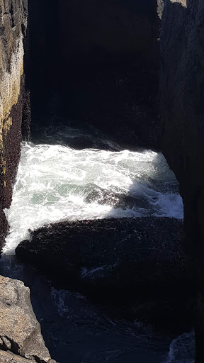 Vista Point «Schoodic Point», reviews and photos, Arey Cove Rd, Winter Harbor, ME 04693, USA