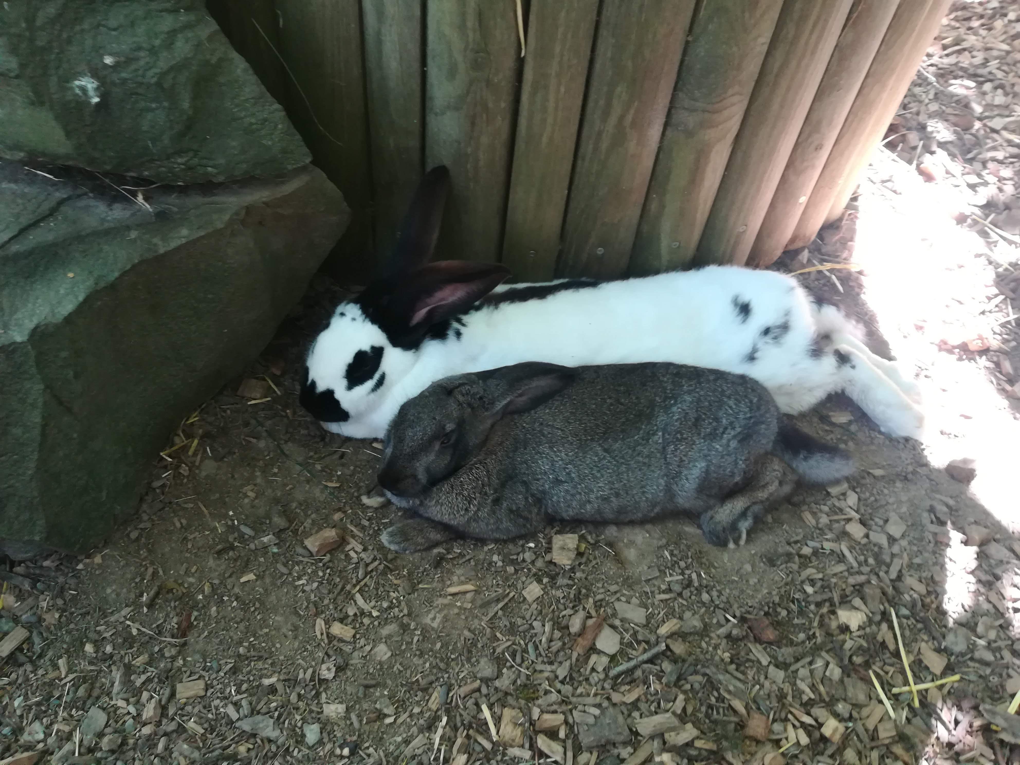 Photo n° 13 de l'avis de missbigsmile. fait le 11/07/2018 à 05:18