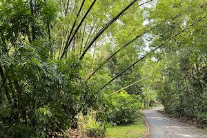 Ulu Sembawang PCN (Mandai Rd) image