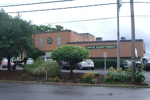 Central Animal Hospital image