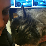 Photo n°2 de l'avis de Thomas.i fait le 06/03/2022 à 18:10 sur le  AYLIN Döner à Remptendorf