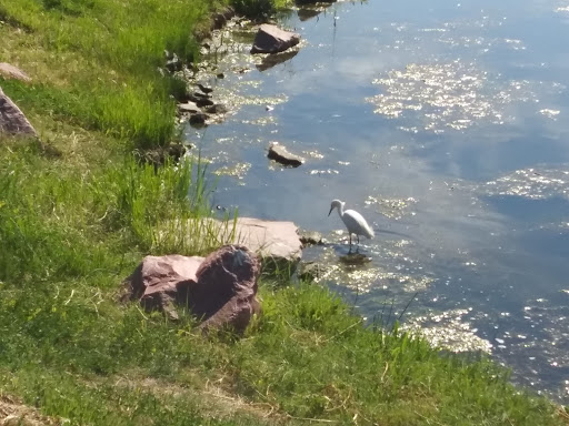 Park «Carpenter Park», reviews and photos, 3498 E 112th Ave, Thornton, CO 80233, USA