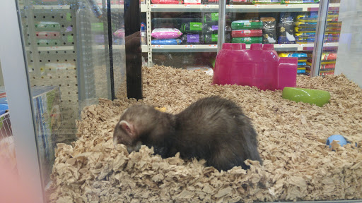 Pet Supply Store «Pet Supplies Plus», reviews and photos, 2410 Augusta Rd, West Columbia, SC 29169, USA