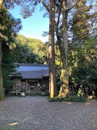 大和神社のスギ