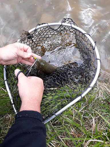 Fishing Store «Indian Creek Fishing & Fire Arms», reviews and photos, 3479 Mango Dr, Danielsville, PA 18038, USA