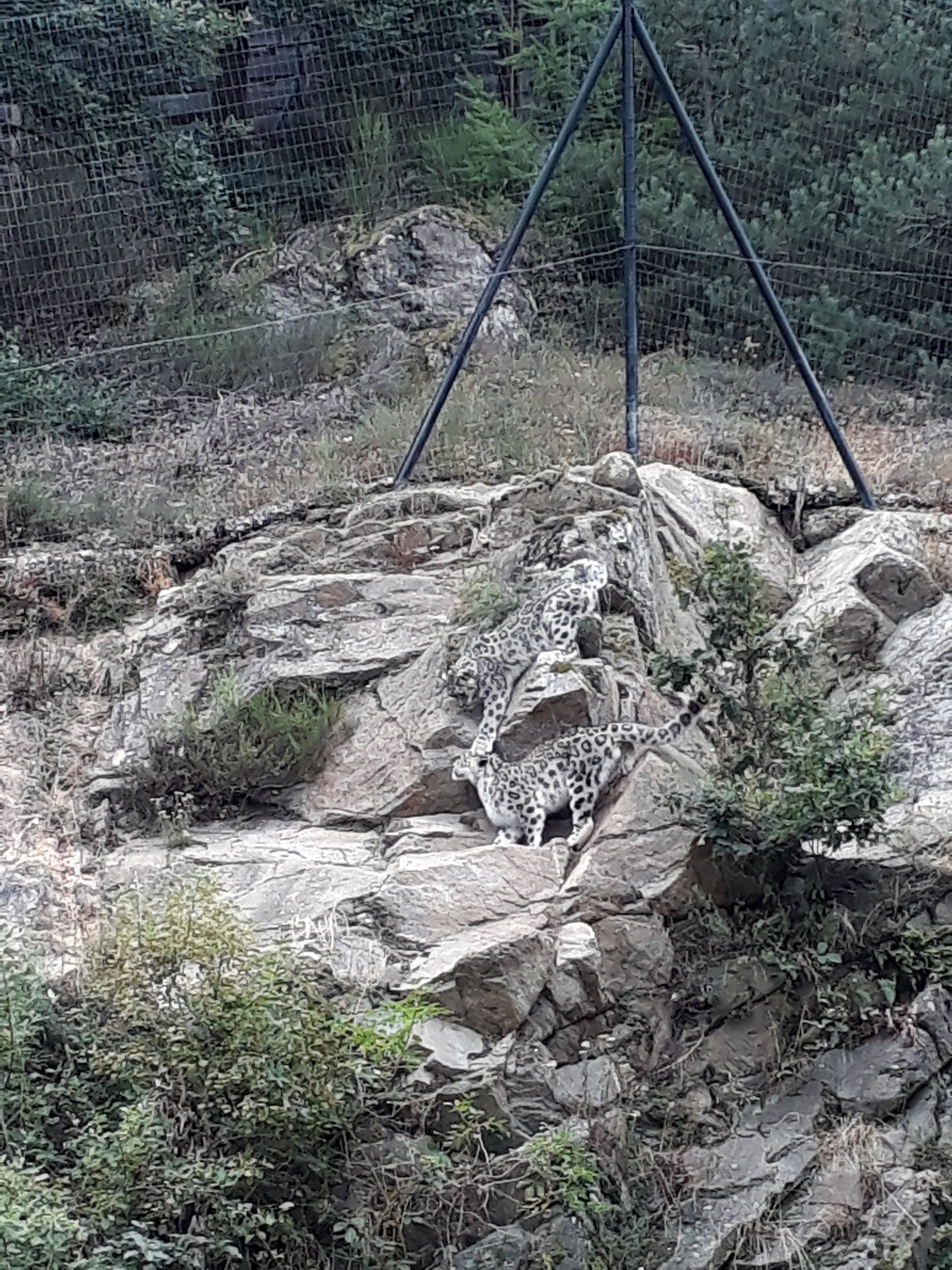 Photo n° 20 de l'avis de Stef.e fait le 15/08/2018 à 14:06
