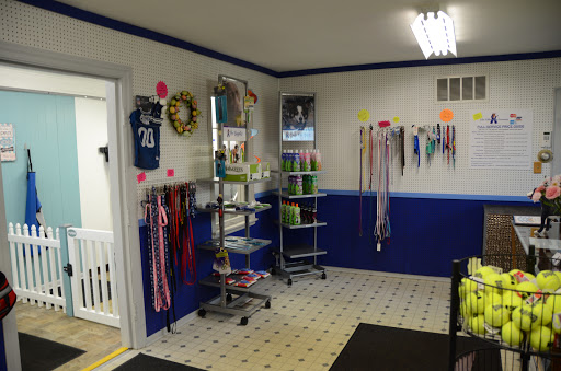 Pet Groomer «Blue Ribbon Dog Grooming LLC Anderson», reviews and photos, 5038 S Scatterfield Rd, Anderson, IN 46013, USA