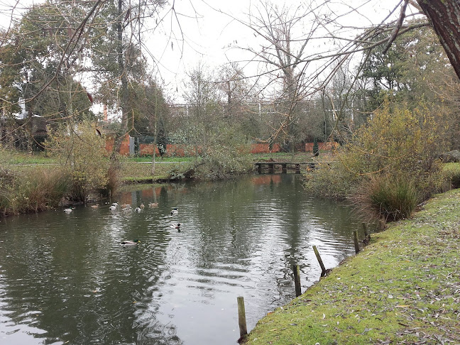 Parque Municipal - Campo de futebol