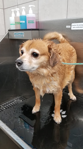 Pet Supply Store «Pet Supplies Plus», reviews and photos, 702 W Northland Ave, Appleton, WI 54914, USA