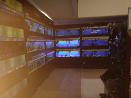 Pet Supply Store «Petco Animal Supplies», reviews and photos, 2575 Fairview Ave N, Roseville, MN 55113, USA