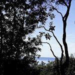 Photo n°1 de l'avis de Juana.a fait le 24/09/2023 à 20:53 sur le  Giardini Poseidon Terme à Forio