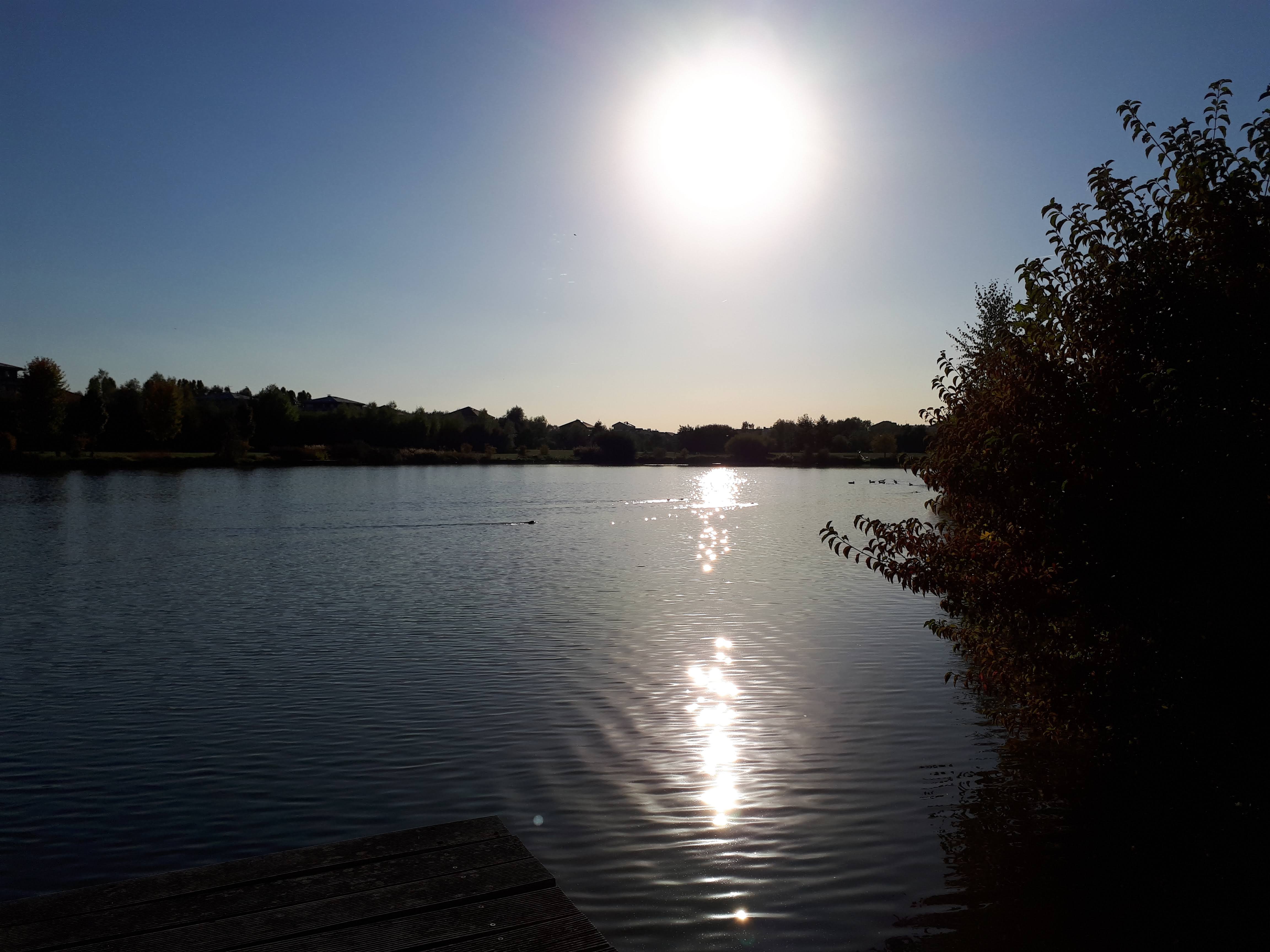 Photo n° 1 de l'avis de Martine.e fait le 27/09/2018 à 20:40