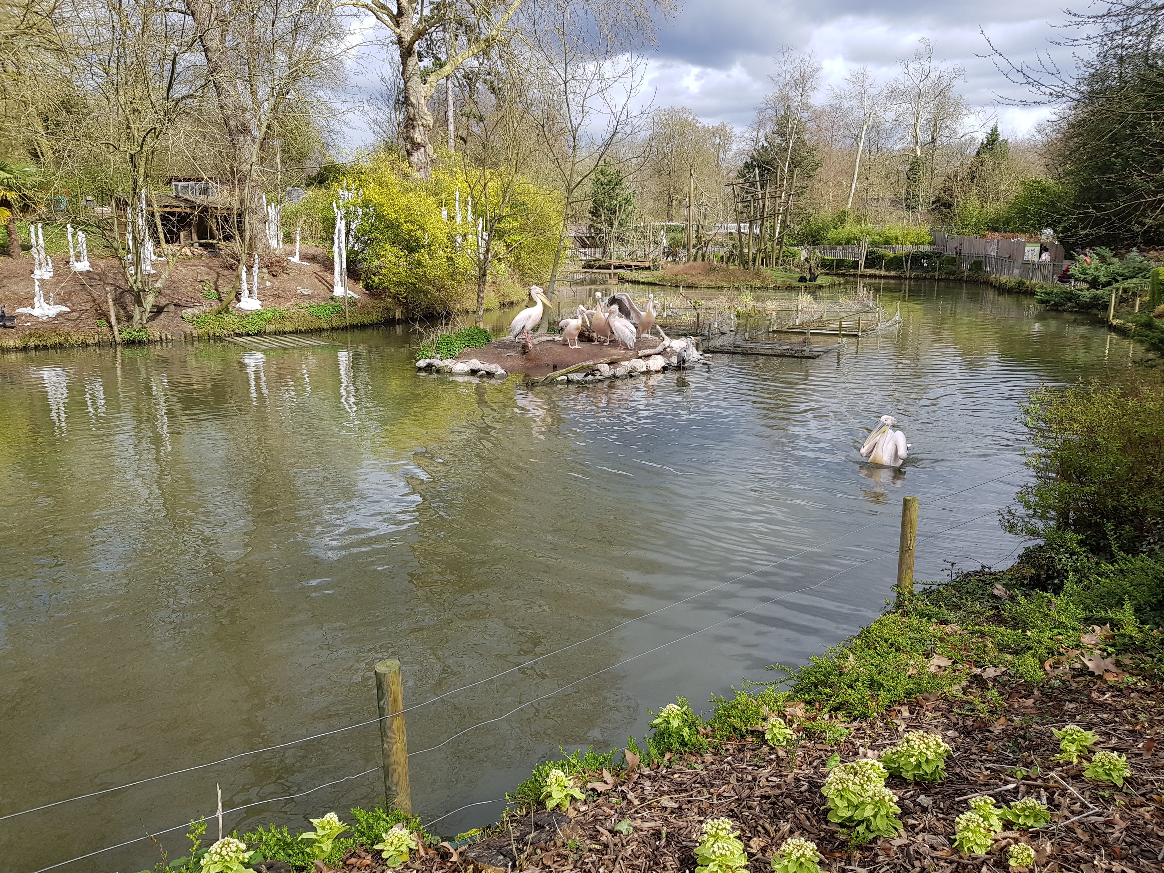 Photo n° 8 de l'avis de Charbel.l fait le 17/03/2019 à 23:45